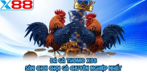 Đá Gà Thomo X88 - Sân Chơi Chọi Gà Chuyên Nghiệp Nhất