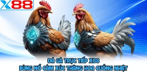Đá Gà Trực Tiếp X88 - Bùng Nổ Cảm Xúc Thăng Hoa Cuồng Nhiệt