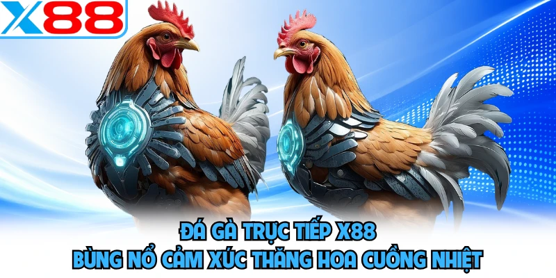 Đá Gà Trực Tiếp X88 - Bùng Nổ Cảm Xúc Thăng Hoa Cuồng Nhiệt